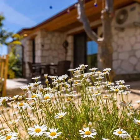 Bir Tas Ev Vakantiehuis Kaş